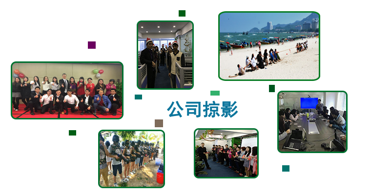 公司掠影.png